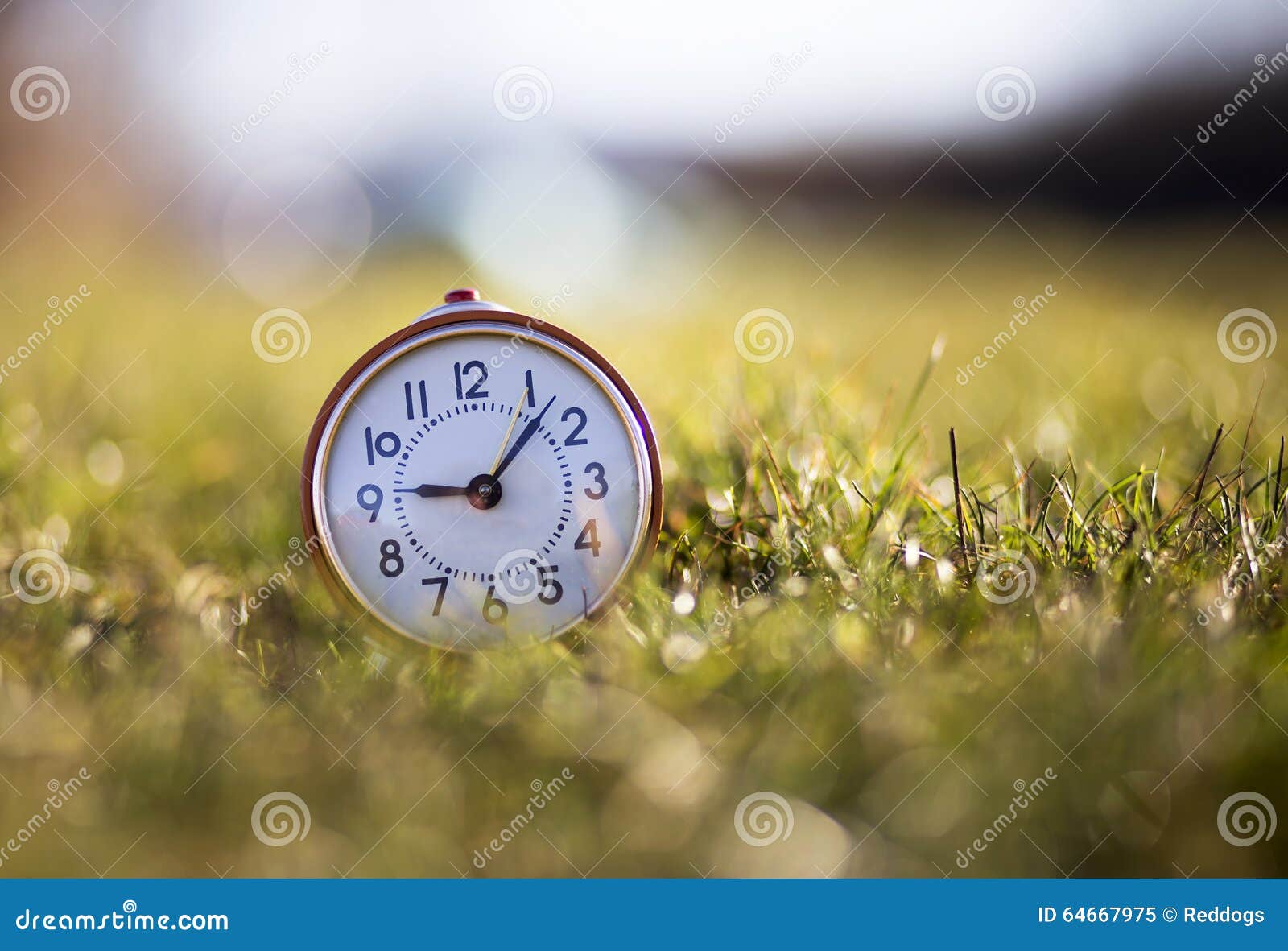 Good morning nature! stock image. Image of outdoor, hour 64667975