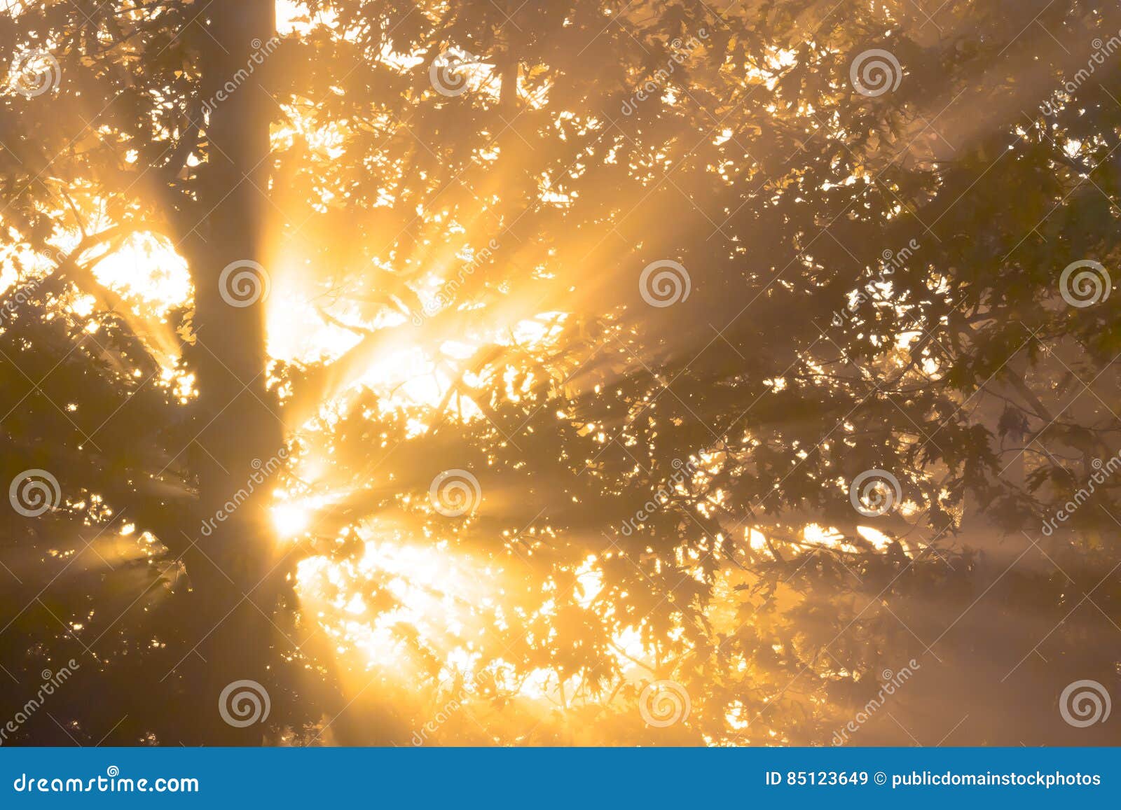 Good Morning Sun Picture. Image 85123649