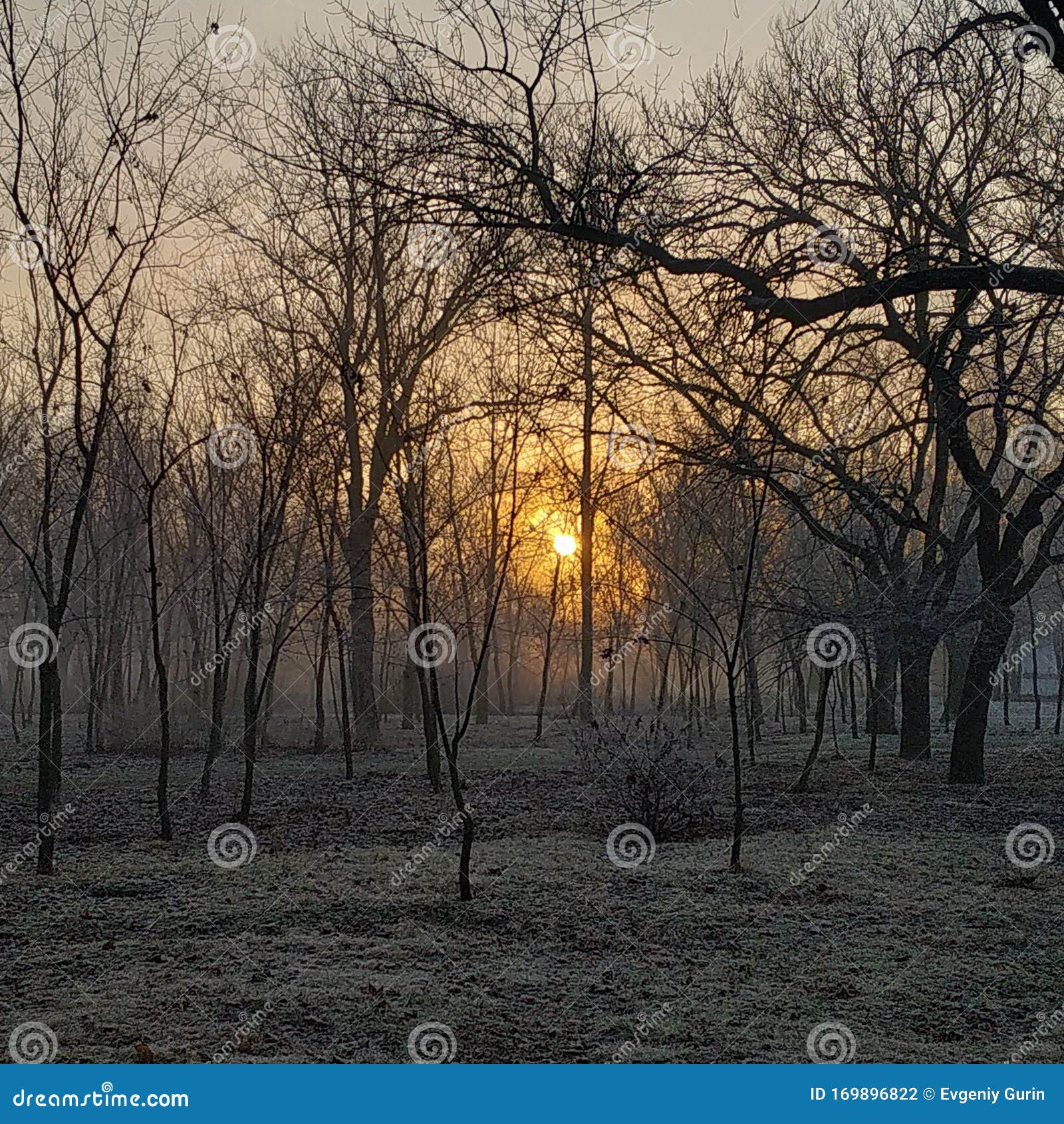 Good morning, sun park stock photo. Image of good, ð·ð¸ð¼ð° 169896822