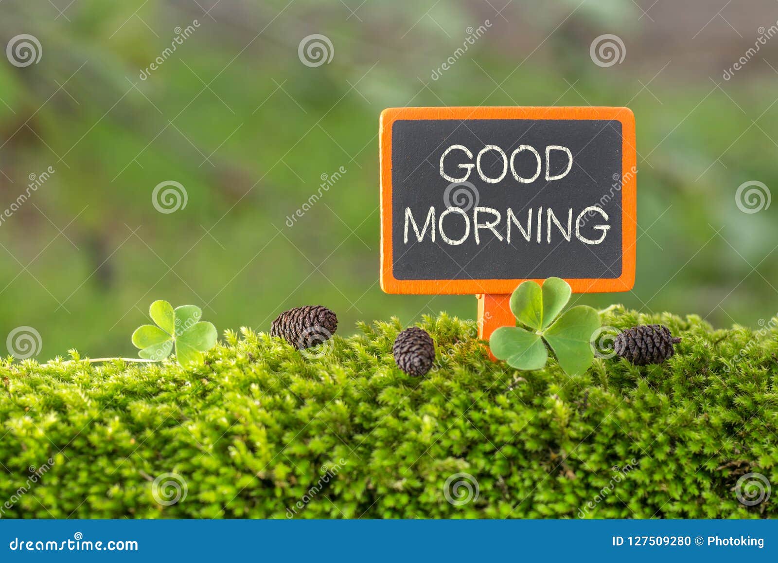 Good Morning Text on Small Blackboard Stock Photo - Image of leaf ...