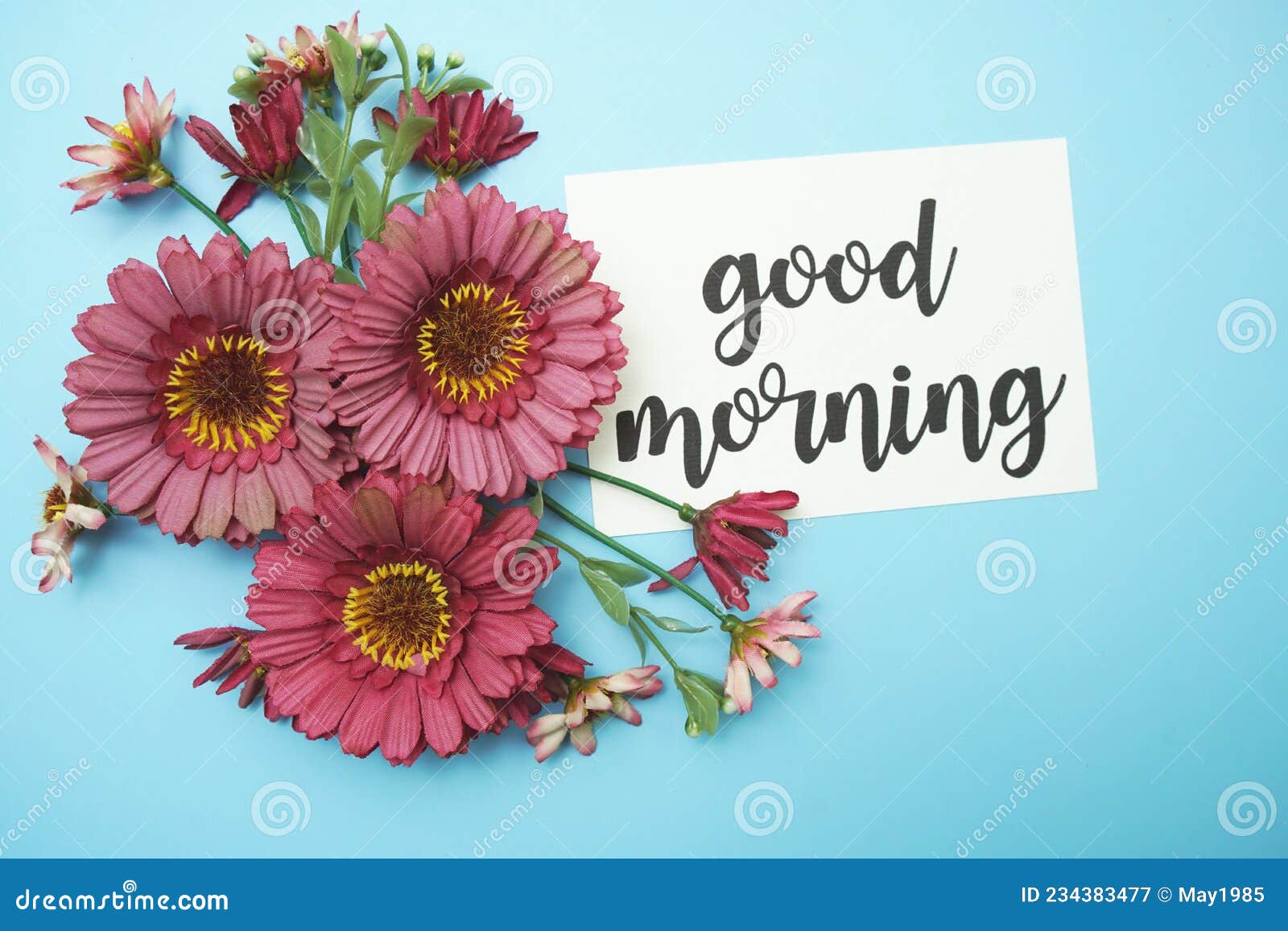 Good Morning Typography Text with Daisy Flowers on Blue Background ...