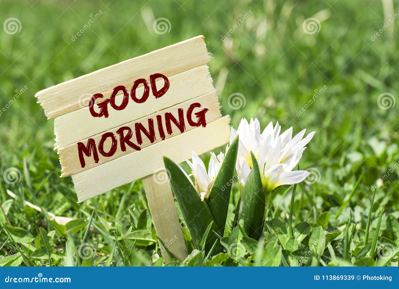 Good Morning Sign Stock Image Image Of Early Lazy