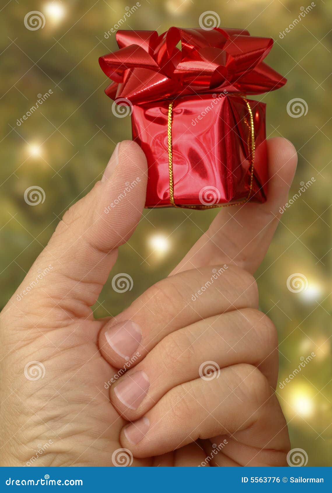 Good Things Come in Small Packages Stock Photo Image of tree