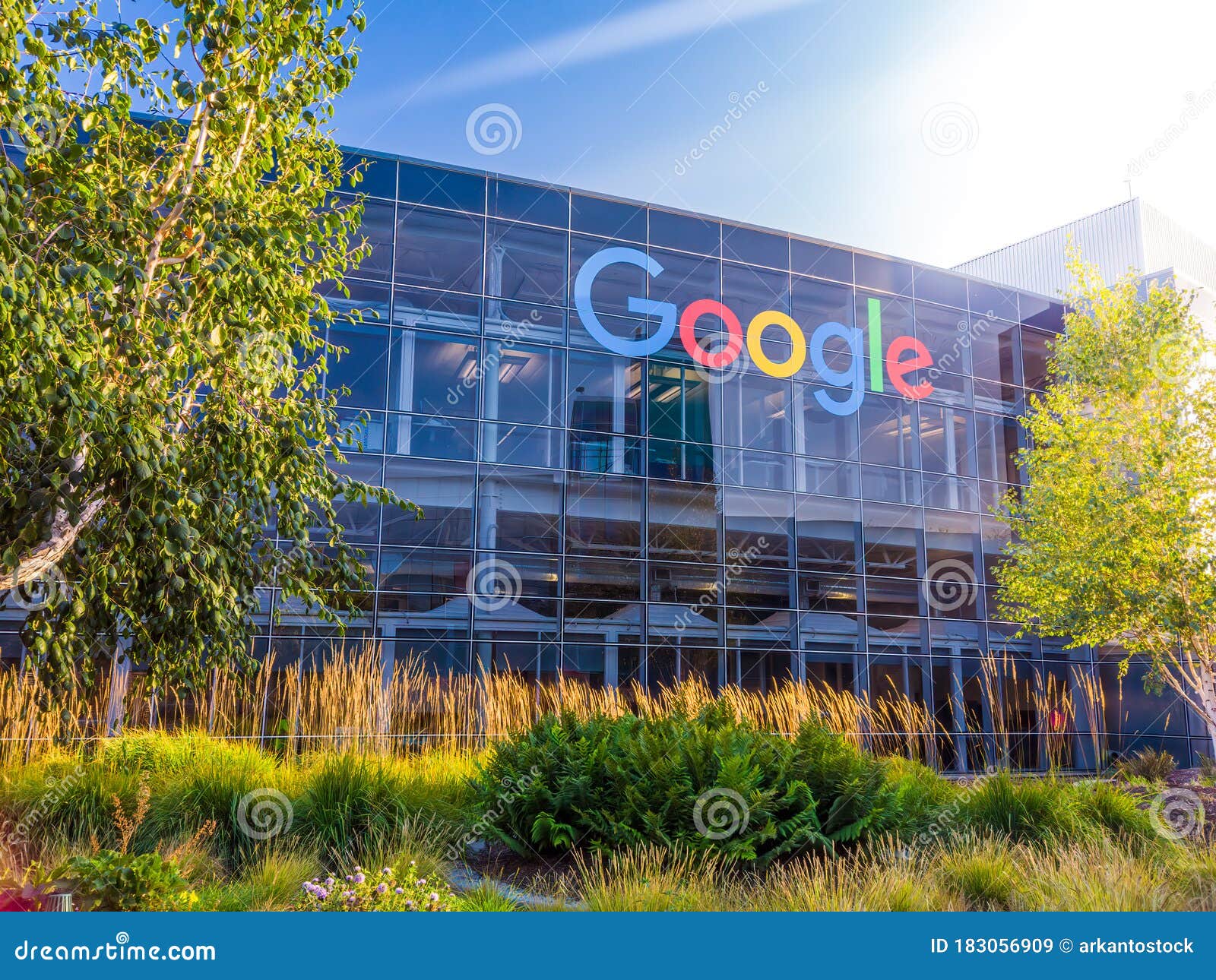 Usa 구글 Google Meet