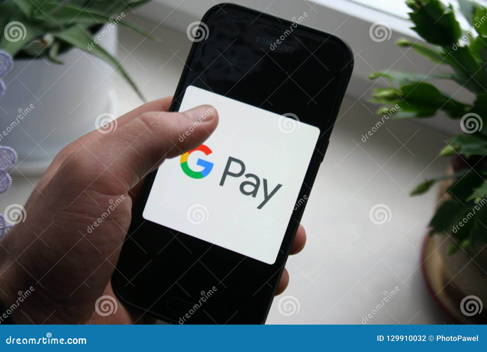 pay gpay pay gpay