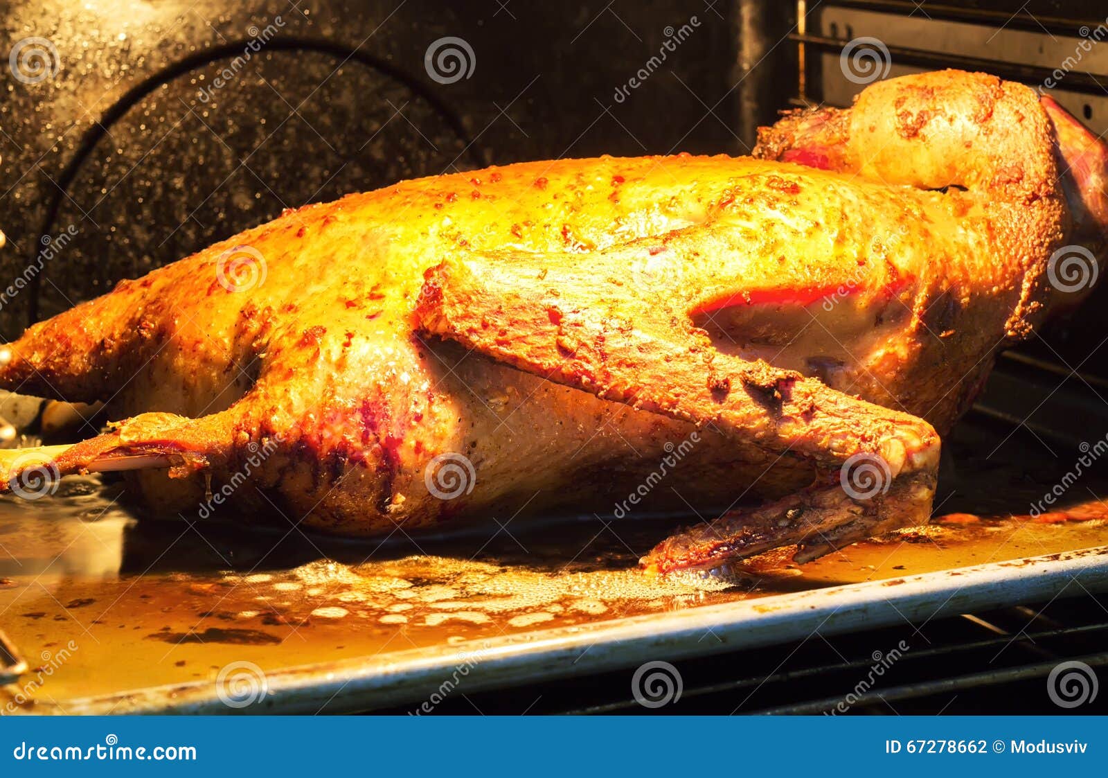 The goose baked in an oven stock photo. Image of traditions 67278662
