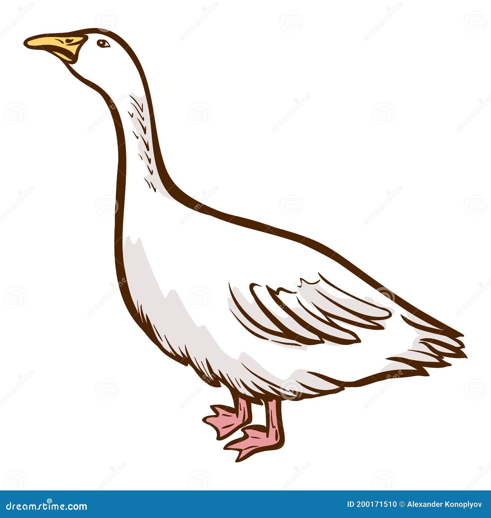 goose hand drawn icon. domestic bird. waterbird large with long neck, short legs.