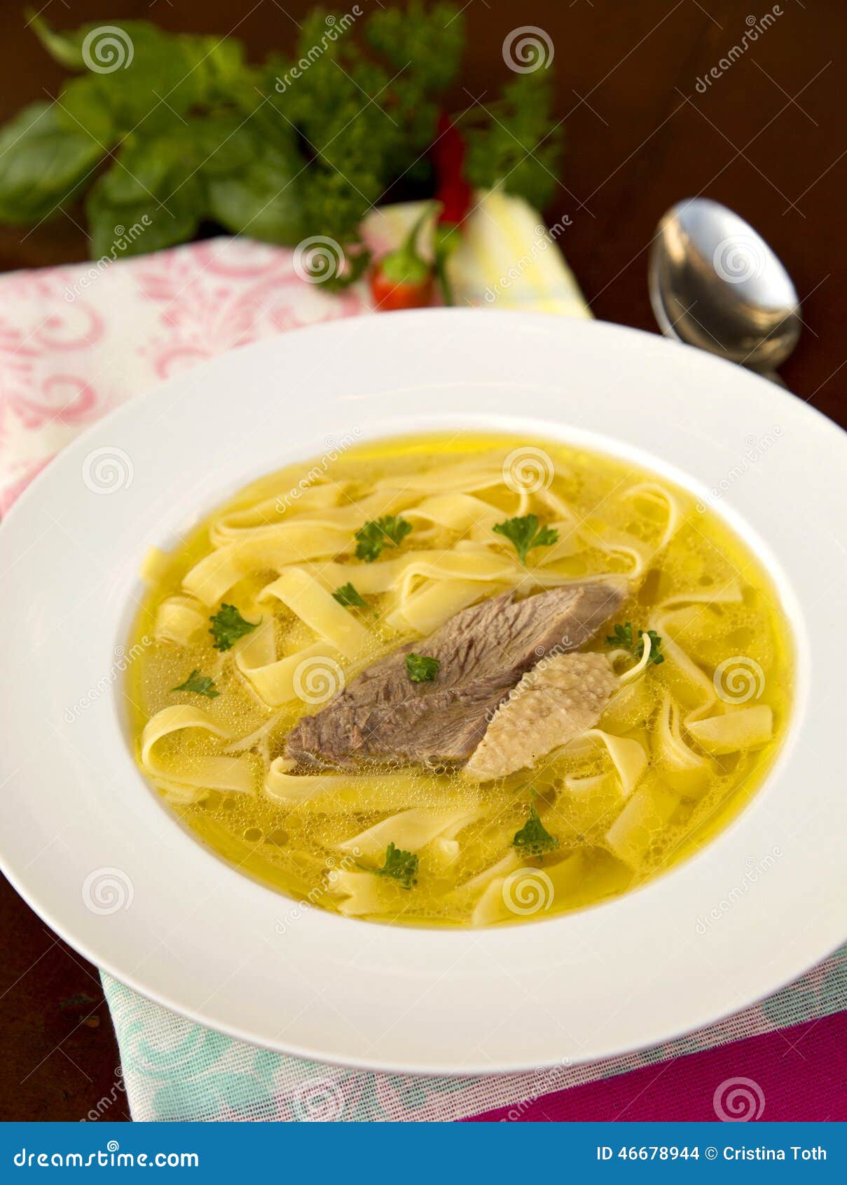 Goose noodle soup stock photo. Image of meal, tasty, homemade 46678944