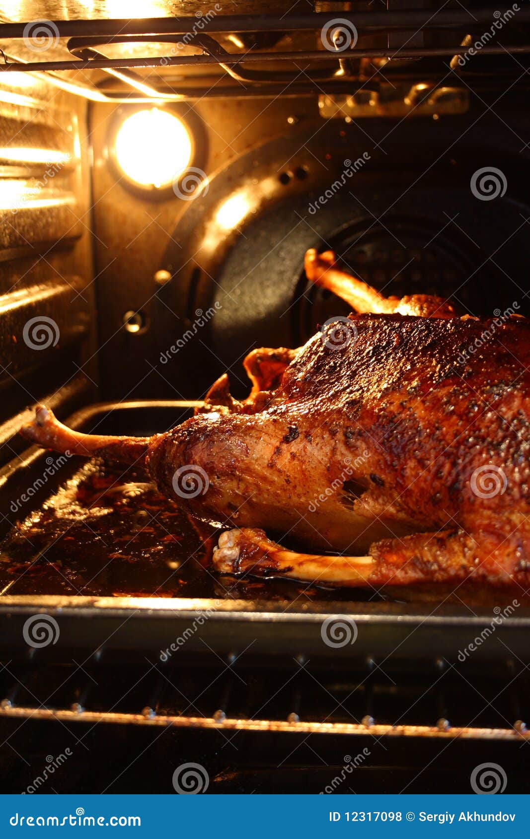 Goose in oven stock photo. Image of oven, festive, poultry 12317098