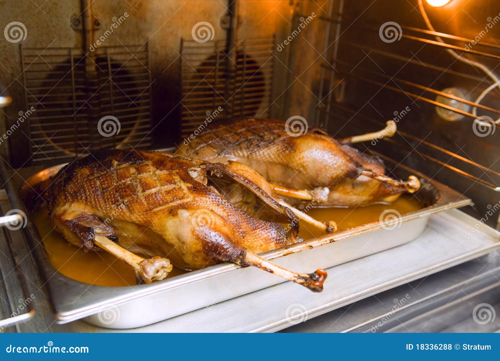 Goose in an oven stock photo. Image of cook, equipment 18336288