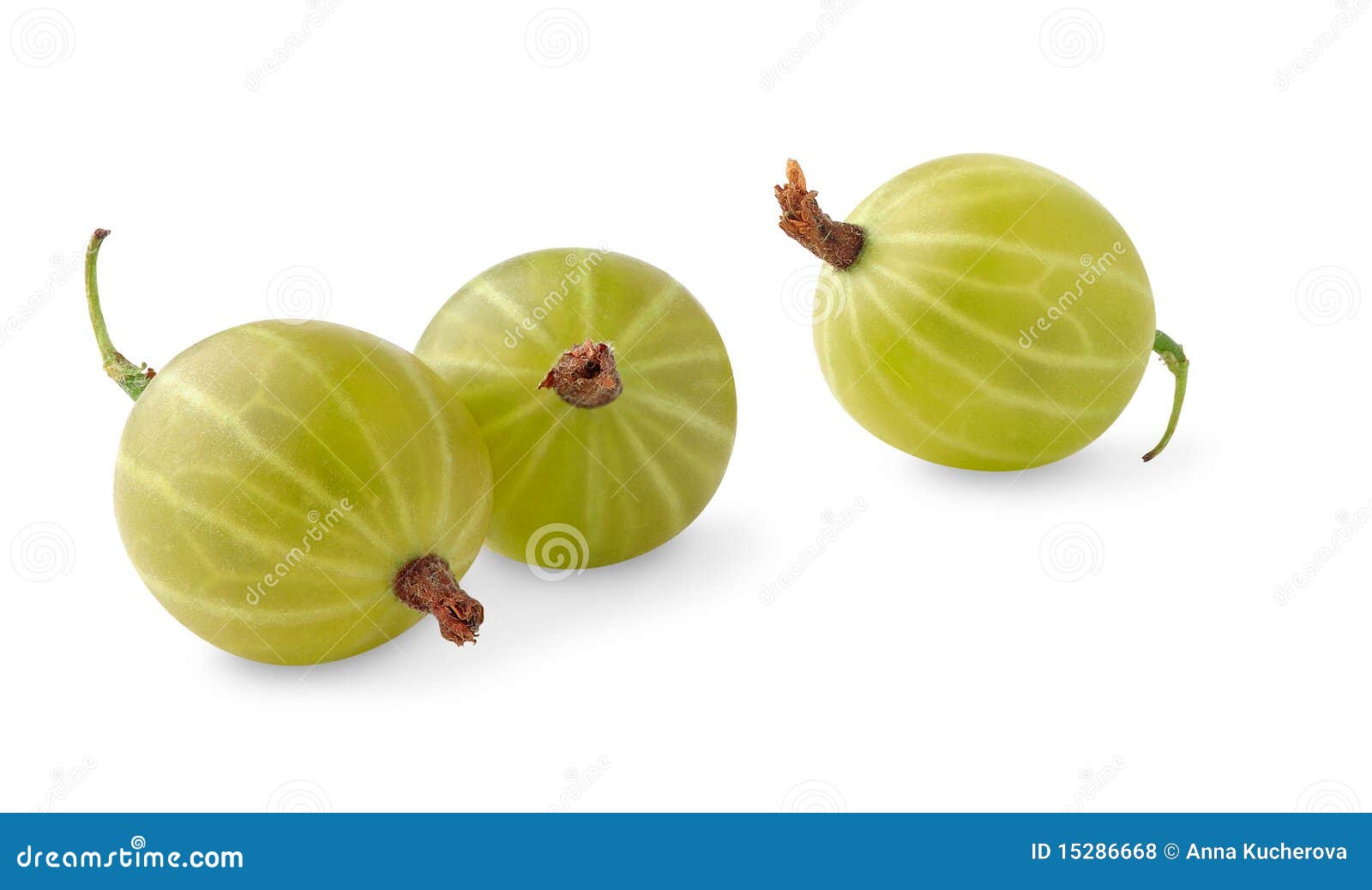 Gooseberries stock photo. Image of object, organic, ingredient 15286668