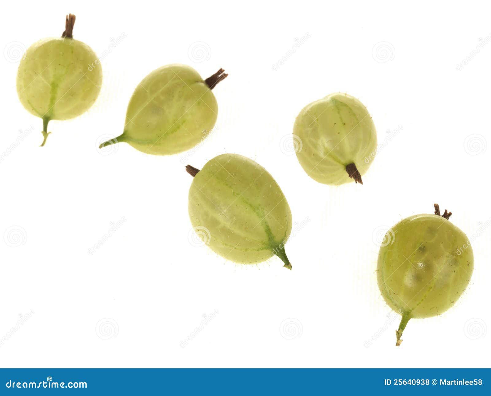 Gooseberries stock photo. Image of berries, healthy, ingredients 25640938