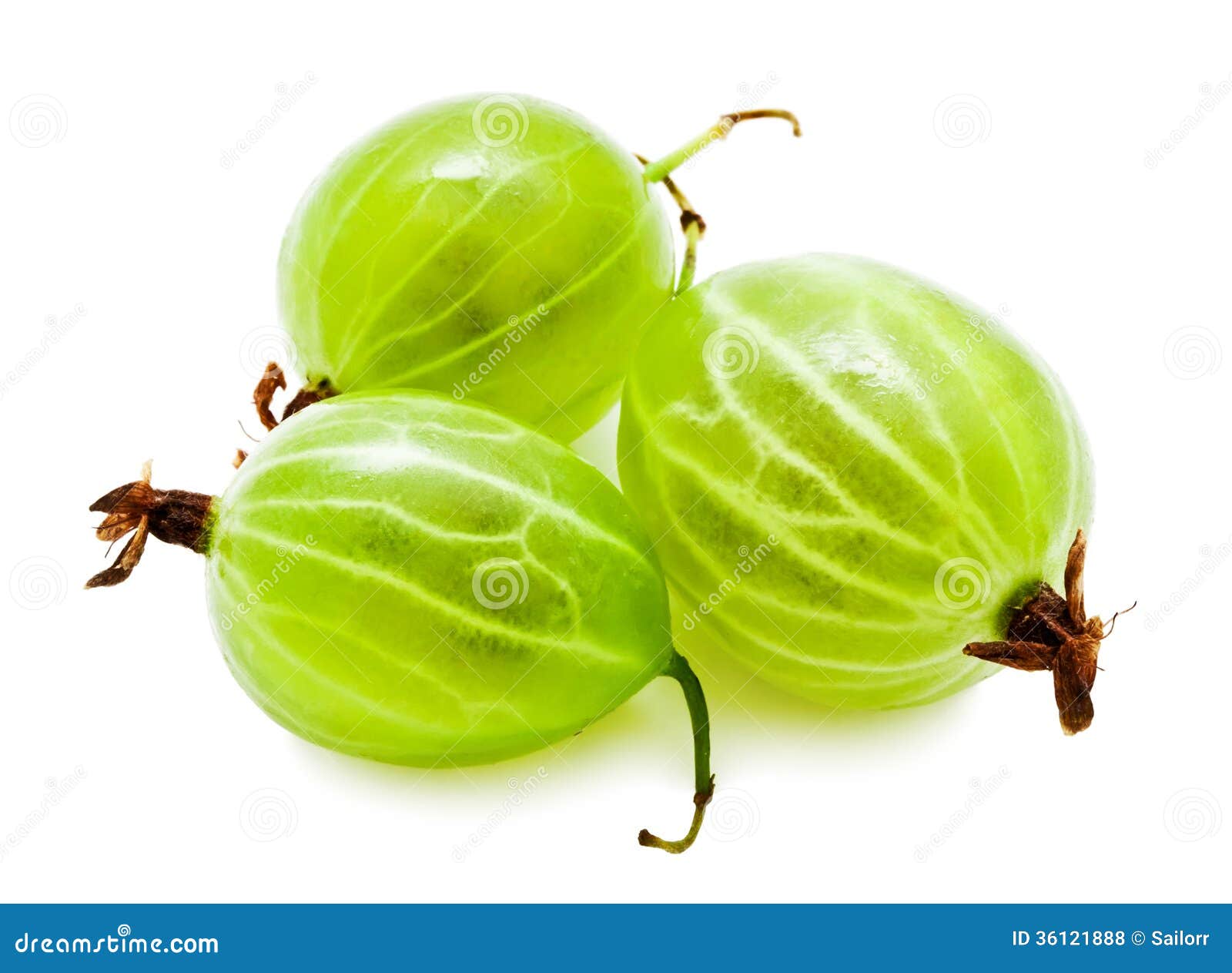 Gooseberries stock photo. Image of group, nutrition, juicy 36121888