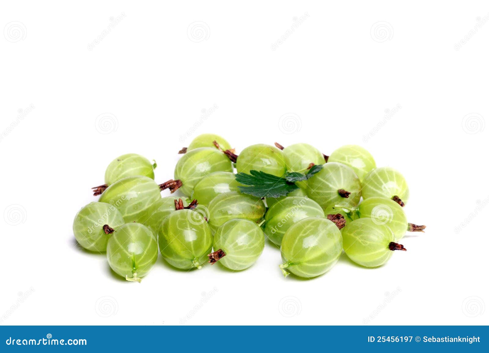 Gooseberries on white stock image. Image of juicy, lustiness 25456197