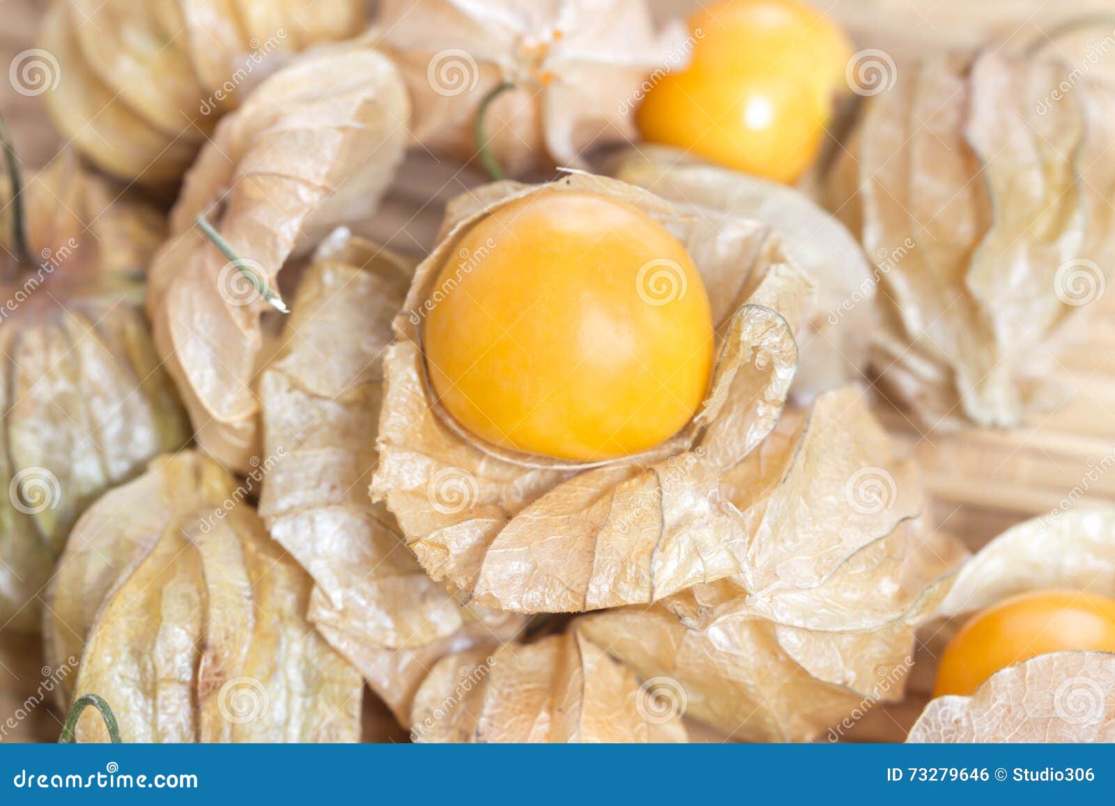 Gooseberry foto de stock. Imagem de alimento, suculento 73279646