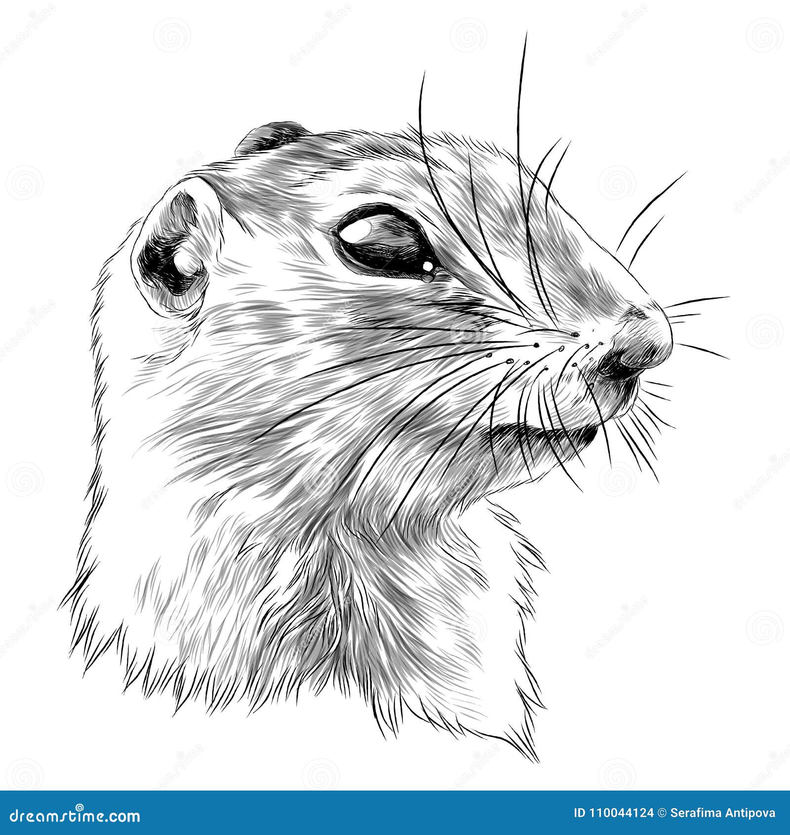 Sketch Vector Art & Graphics | freevector.com