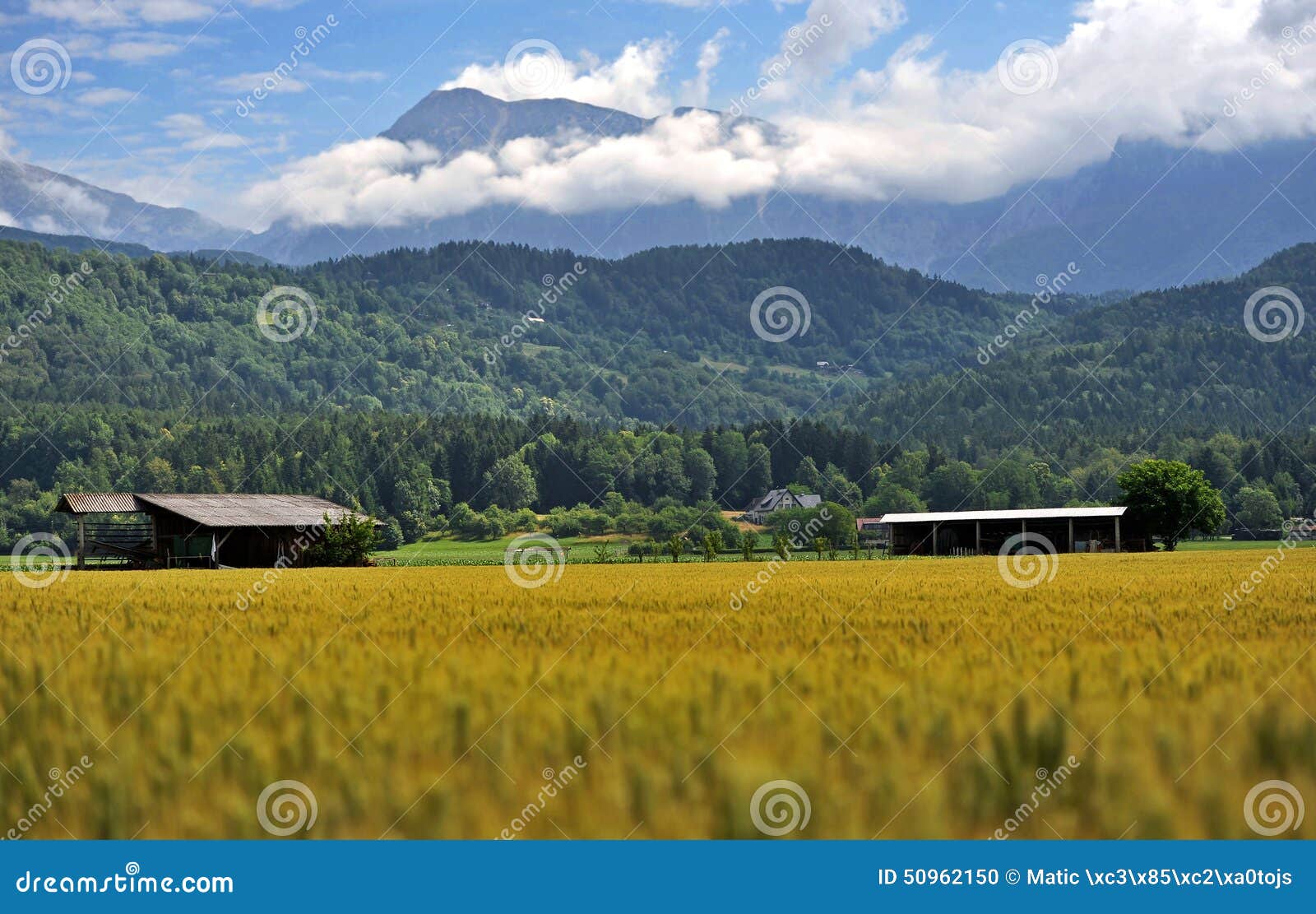 gorenjska landscape, slovenia