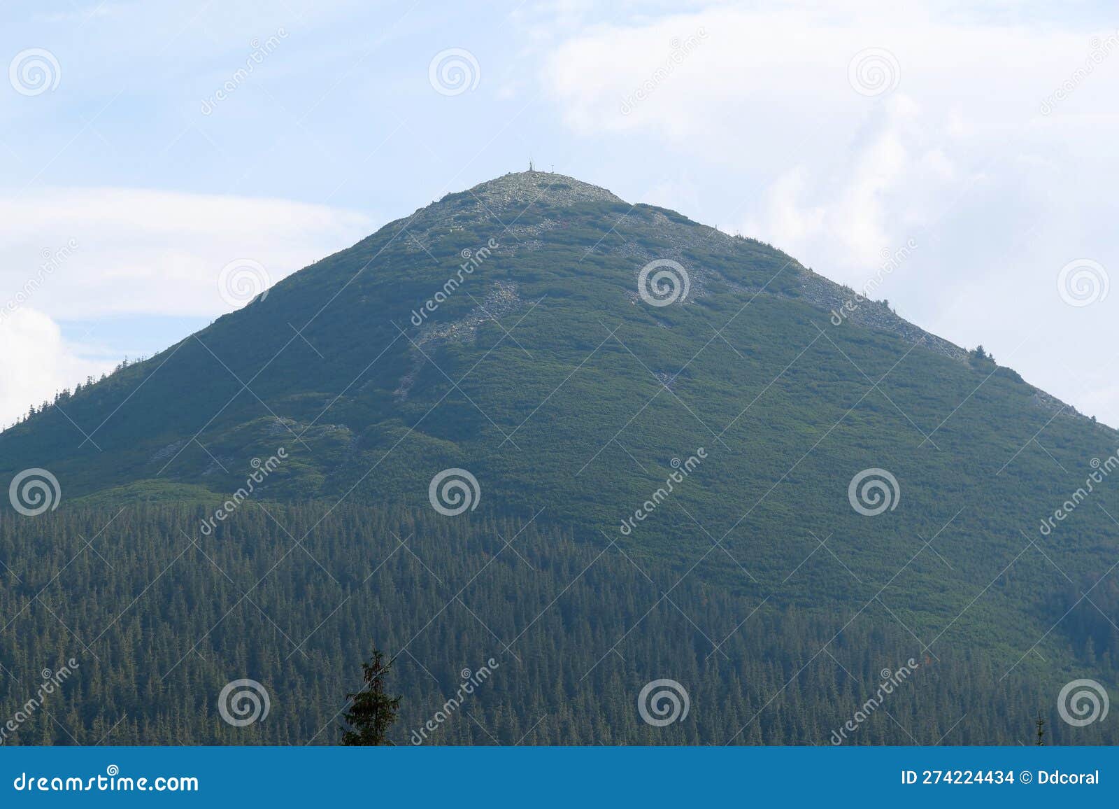 gorgany - mountain range in western ukraine. view to hamster mount