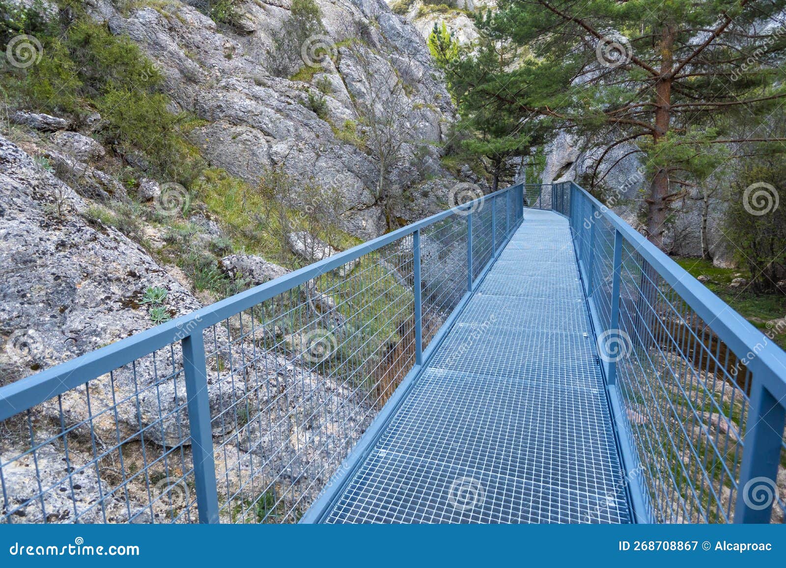 gorge of la yecla, burgos, spain