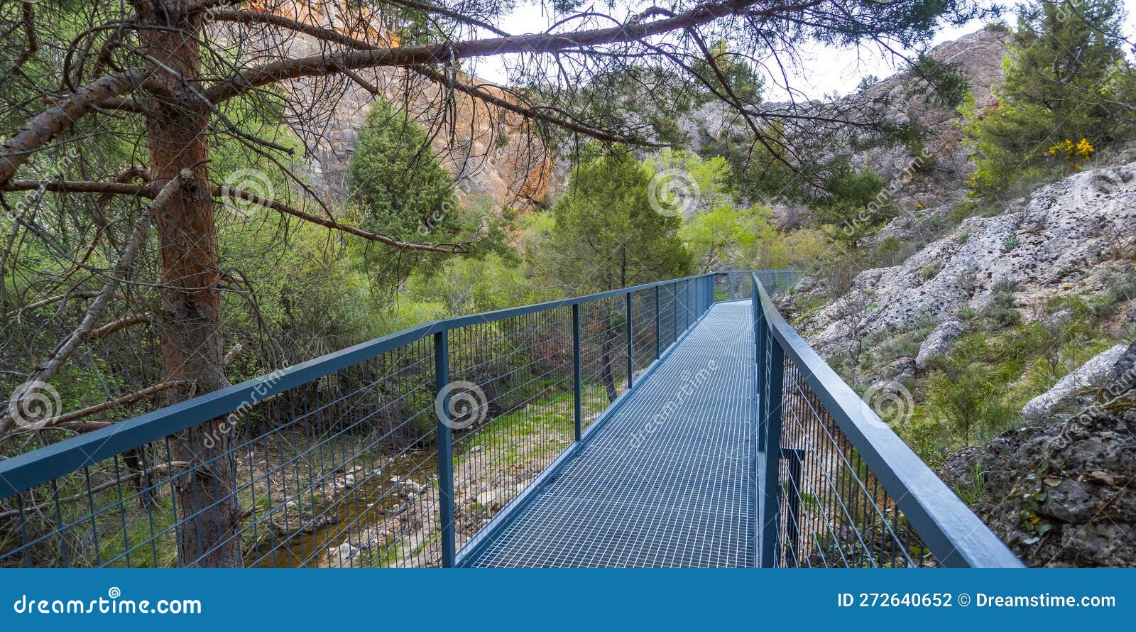 gorge of la yecla, burgos, spain