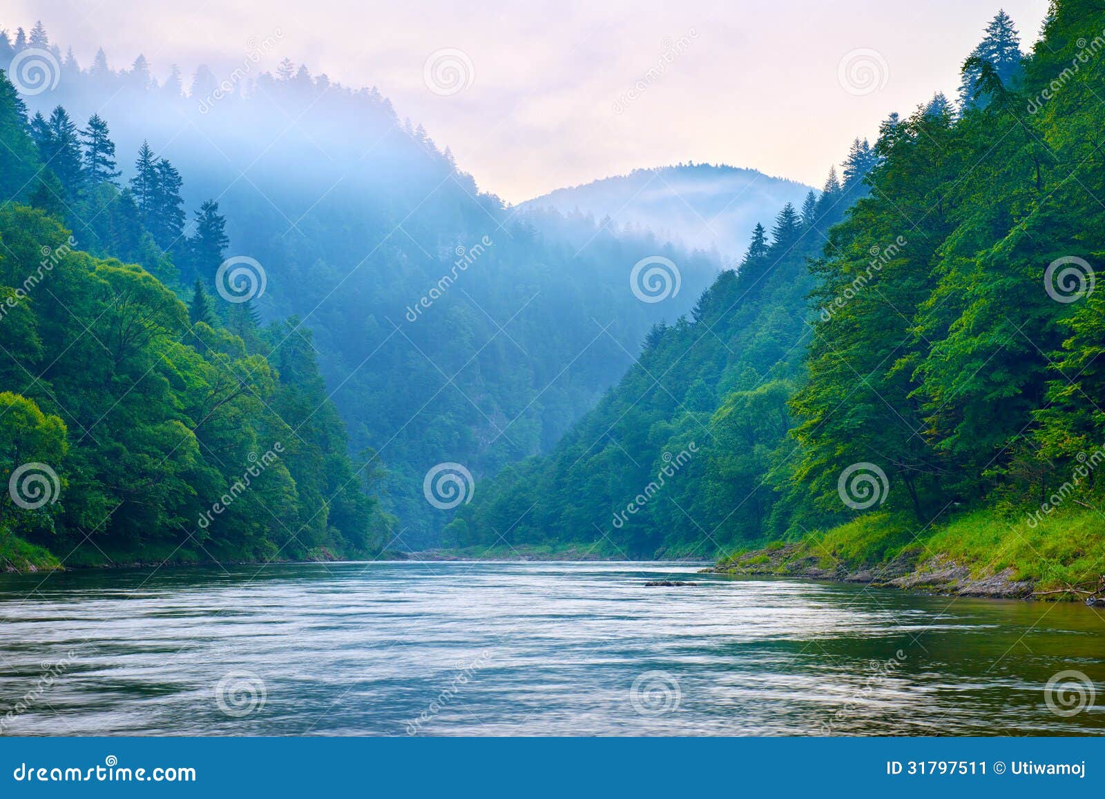 the gorge of mountain river in the morning