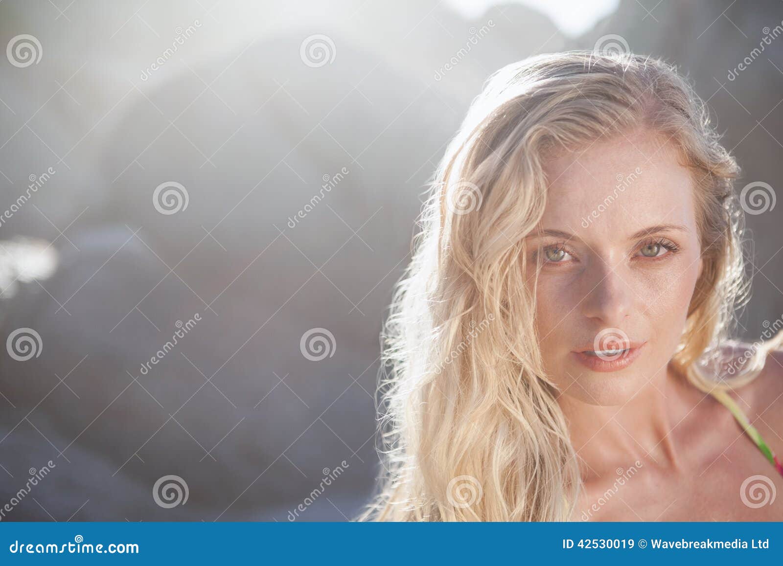 Gorgeous Blonde In Floral Bikini Posing On The Beach Stock Image Image Of Head Adult 42530019