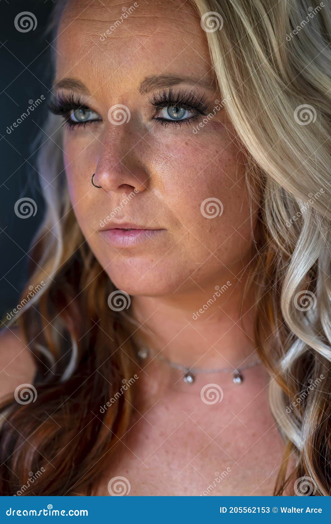 Gorgeous Blonde Model Poses Nude in a Home Environment Stock Image