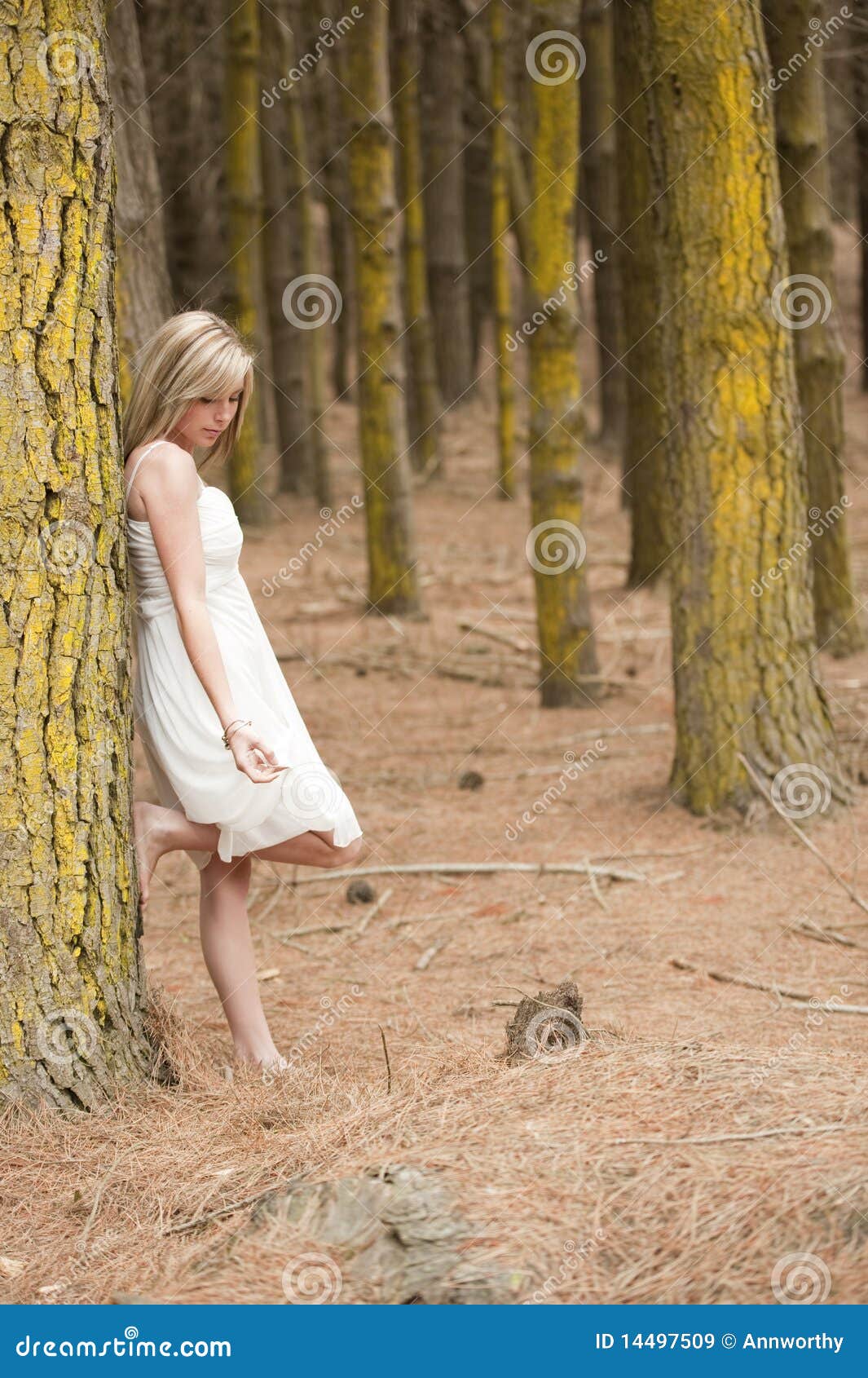 Blonde teen babe Gorgeous Blonde Teen Girl In Forest Stock Image Image Of Nature Outdoors 14497509