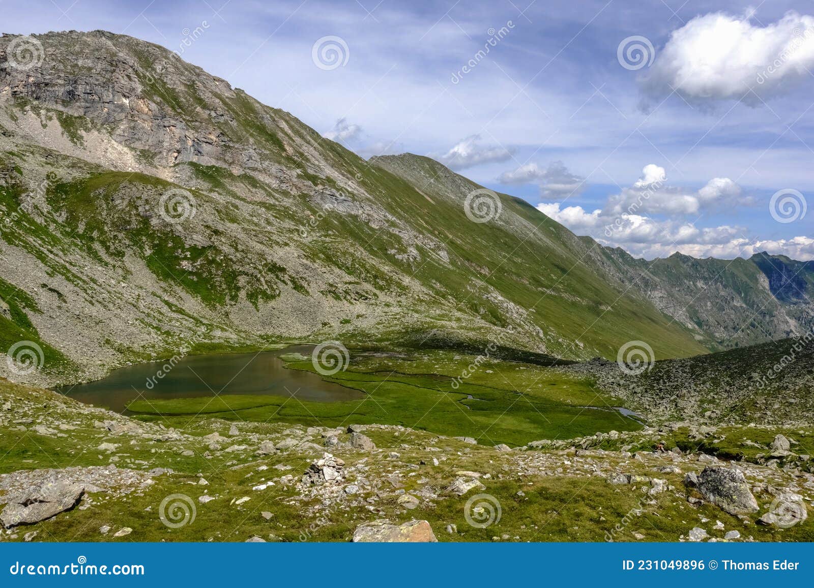 gorgeous green lake with seagrass in rocky mountains in austria