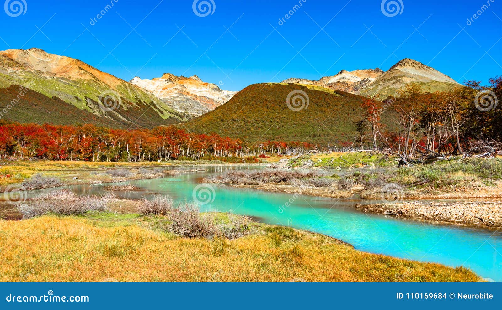 gorgeous landscape of patagonia`s tierra del fuego national park