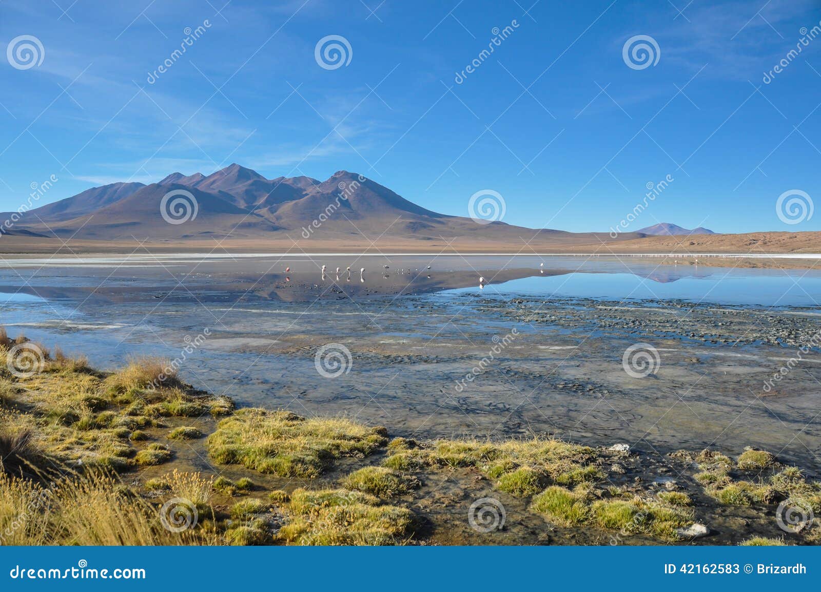 gorgeous landscapes of sur lipez, south bolivia