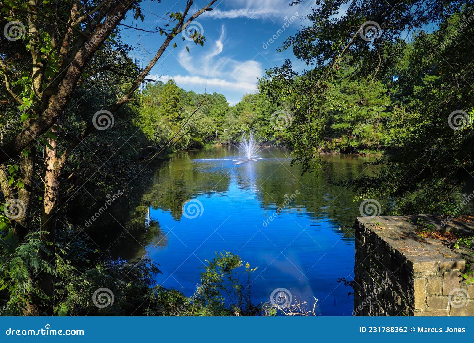 a gorgeous shot of a majestic water fountain in the middle of still lake water with lush green and autumn colored trees and plants