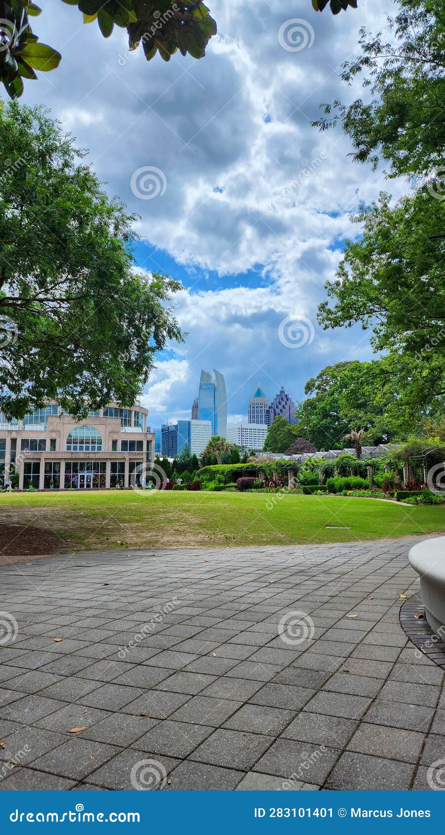 A Gorgeous Spring Landscape at Atlanta Botanical Garden with Lush Green