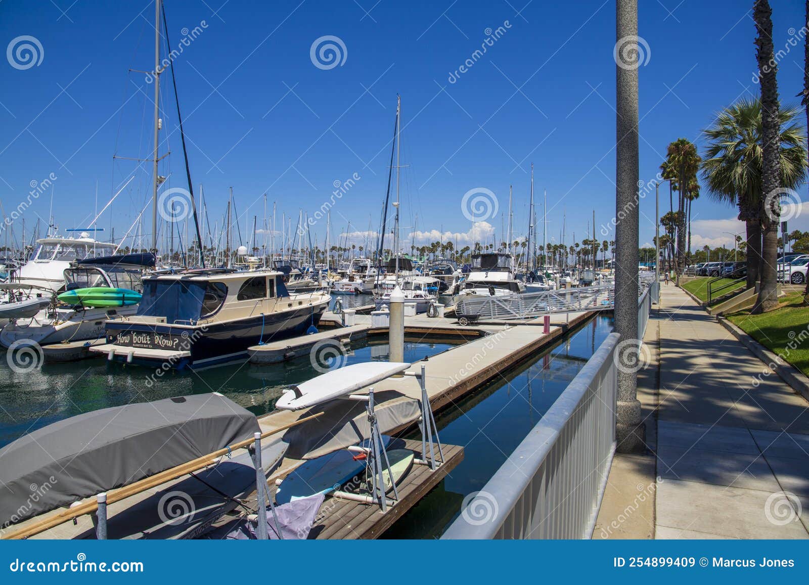 A Gorgeous Summer Landscape in the Marina with Boats and Yachts Docked ...