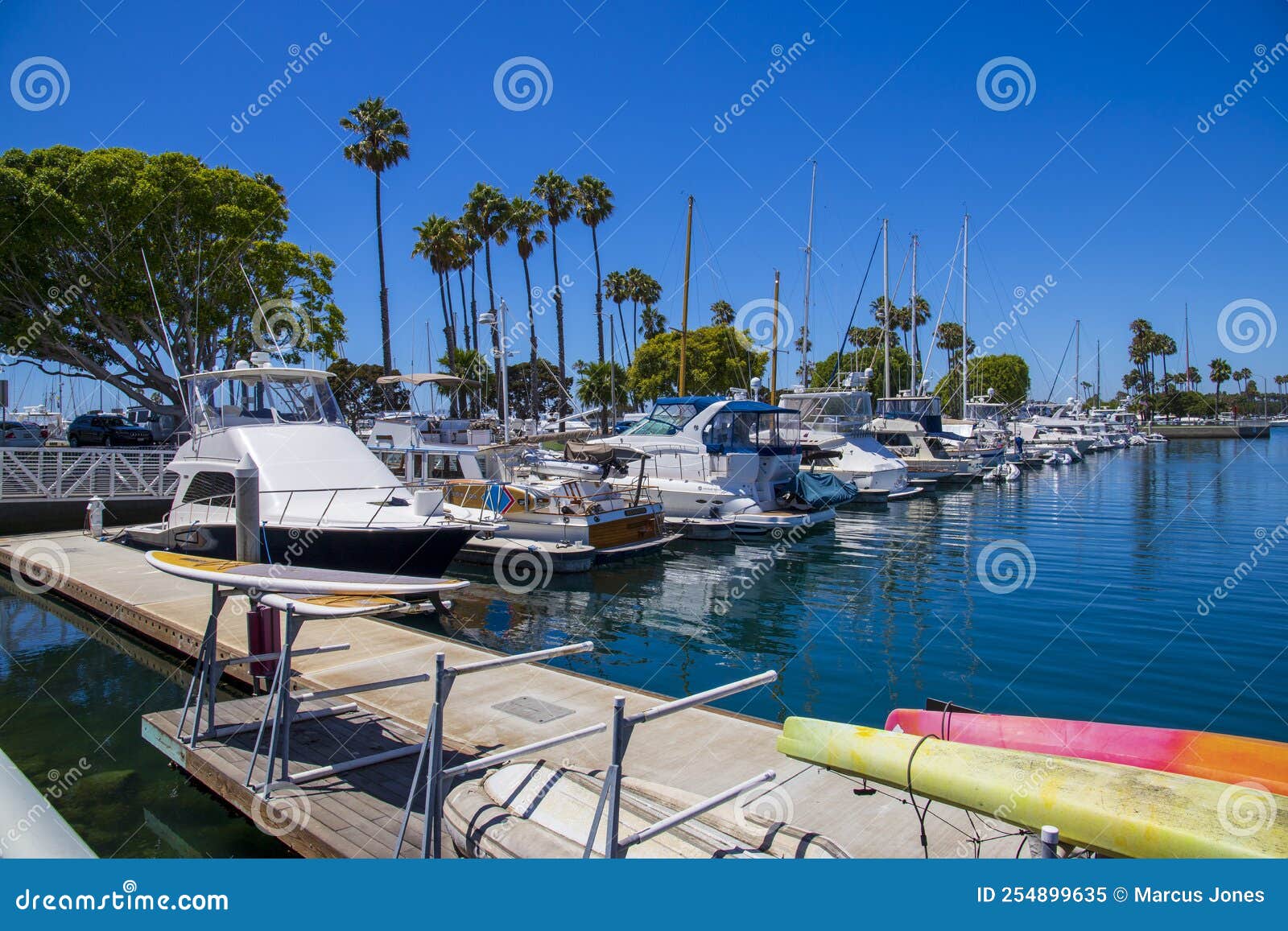 A Gorgeous Summer Landscape in the Marina with Boats and Yachts Docked ...