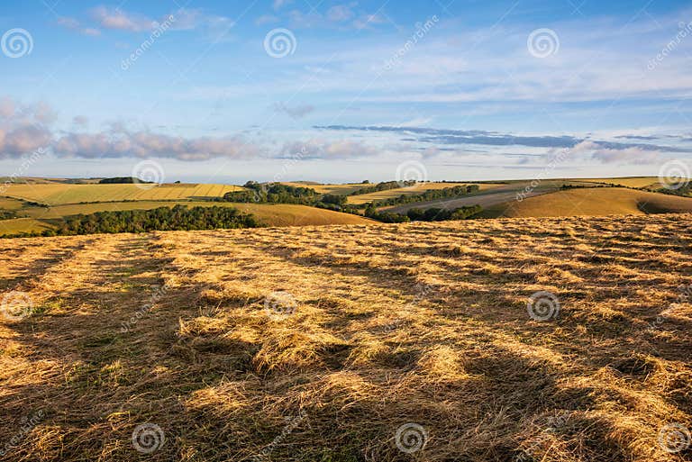 Gorgeous Summer Sunrise English Countryside Landscape Image with Lovely
