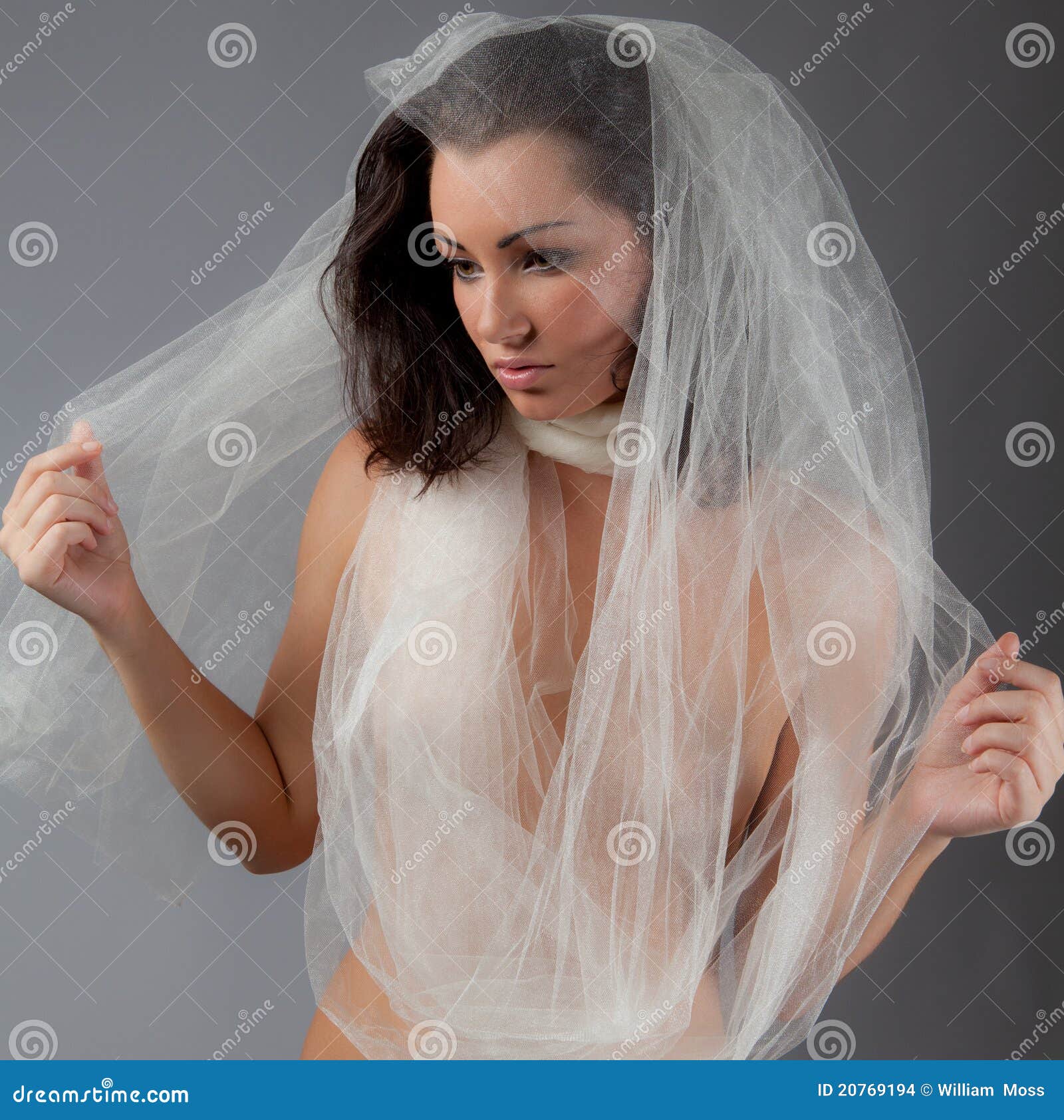 Young Woman In Sheer Fabric Stock Photo Image 20769194