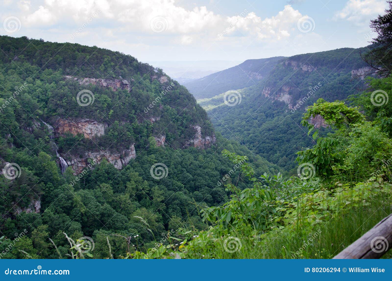 of Cloudland Canyon State Park Stock Photo Image of