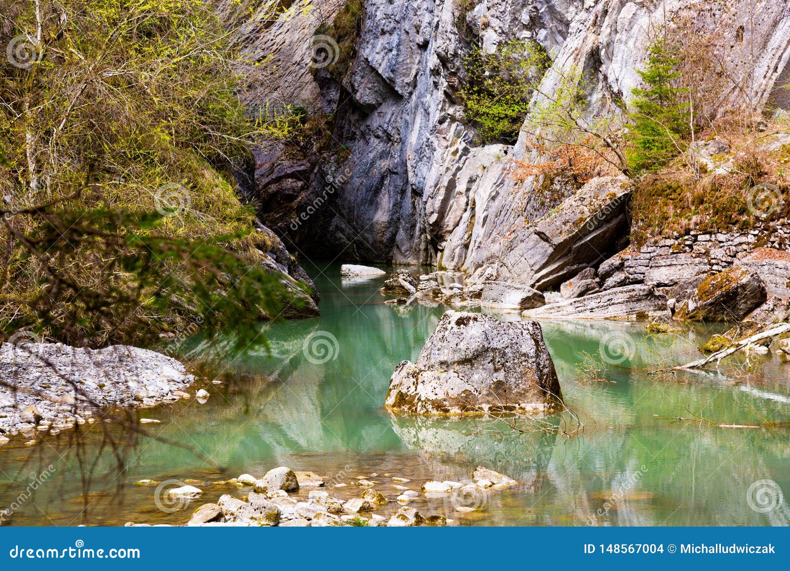 Gorges De La Jogne River Canyon in Broc, Switzerland Stock Photo - Image of  ravine, national: 148567004