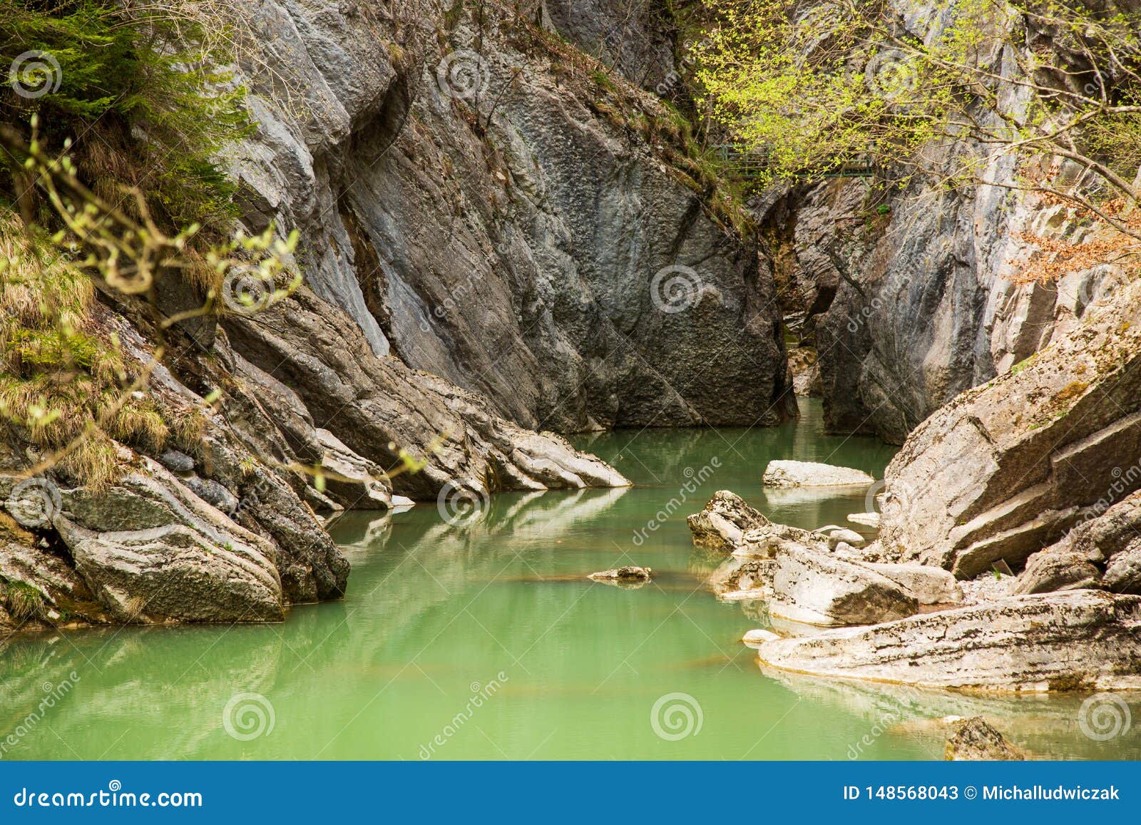 Gorges De La Jogne River Canyon in Broc, Switzerland Stock Image