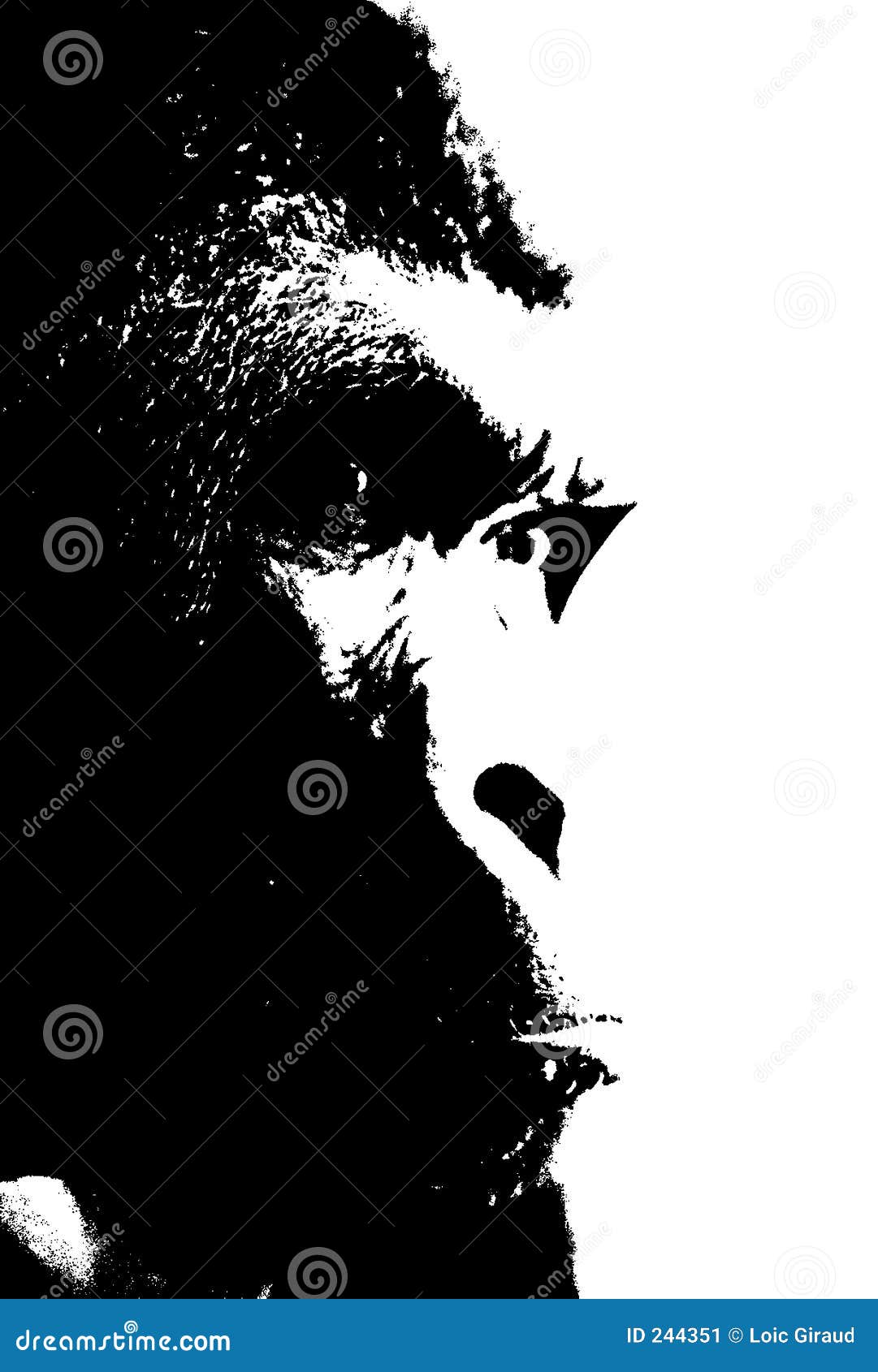 gorilla
