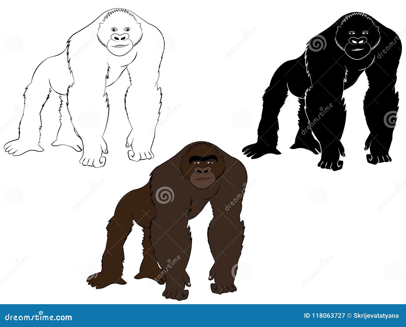 Gorilla in Color, Black and White and Outline Illustration Stock ...