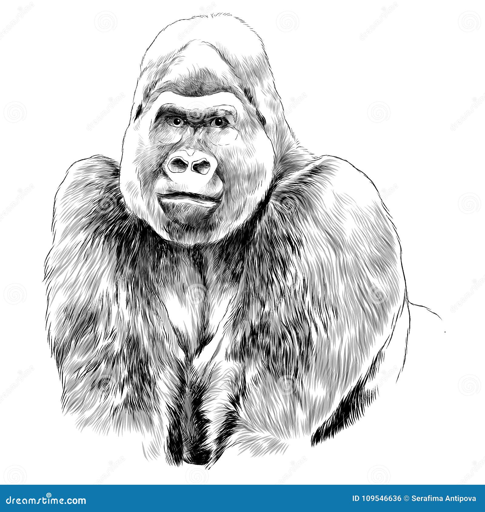 Premium Vector | Bluetick coonhound dog vector graphics hand drawn pencil  animal line illustration sketch drawing