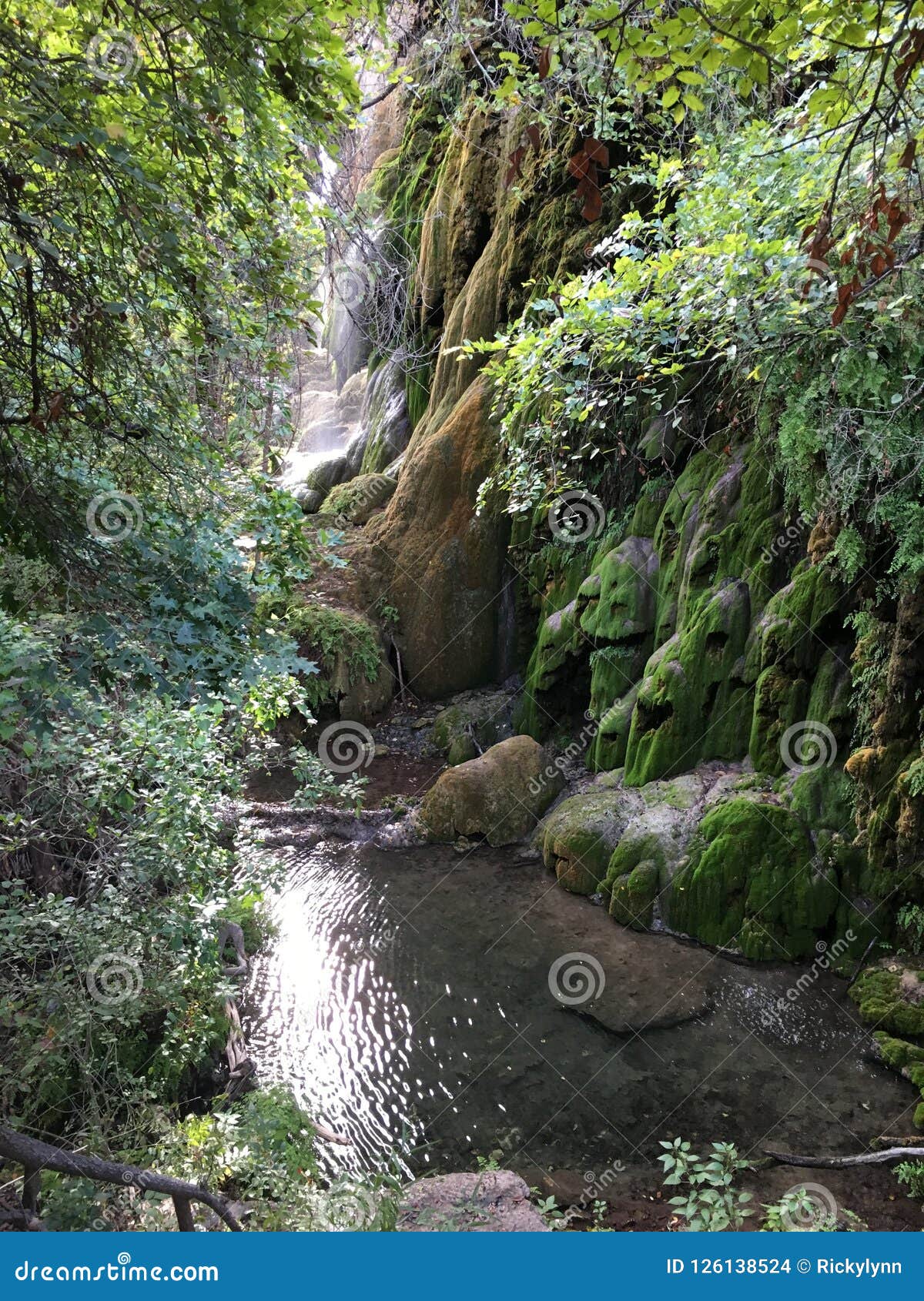 gorman falls in colorado state park 2018