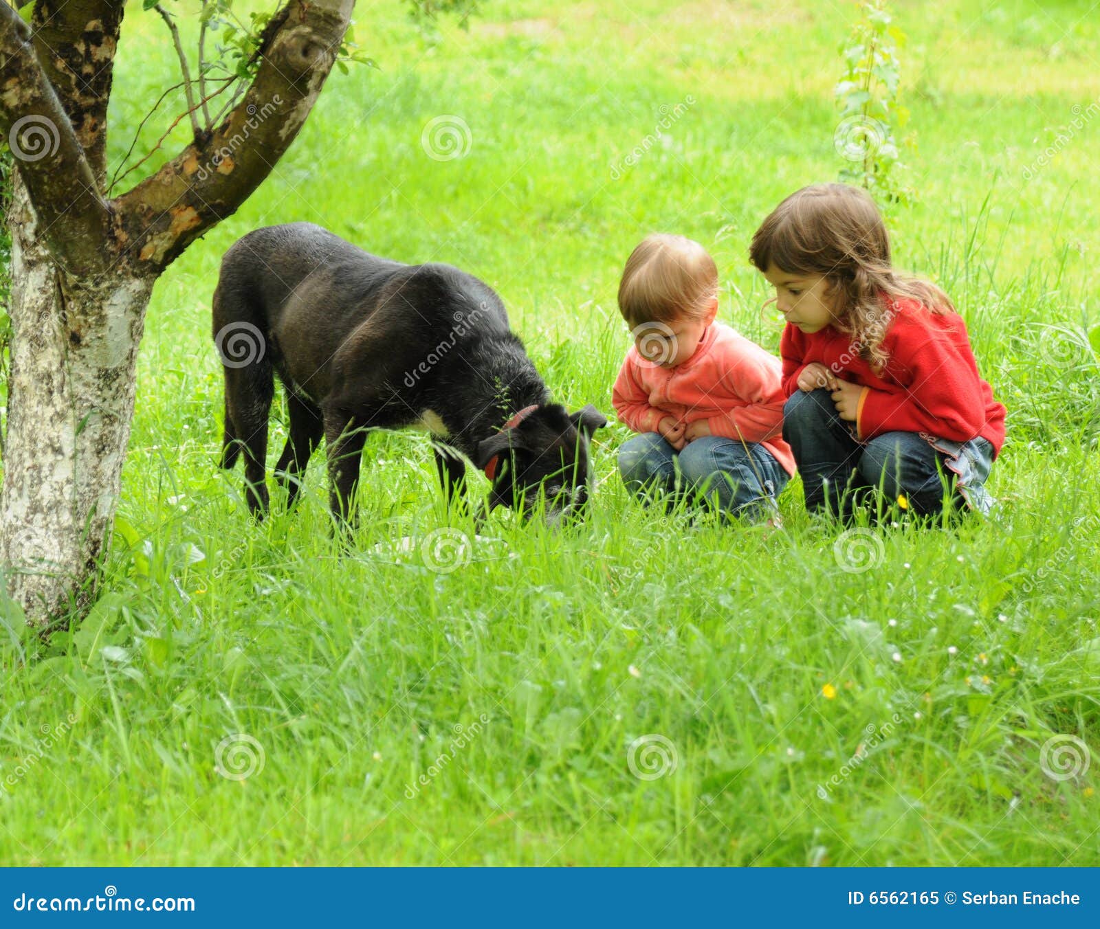 Gosses de campagne. Deux gosses jouant avec leur crabot dans l'herbe de campagne.