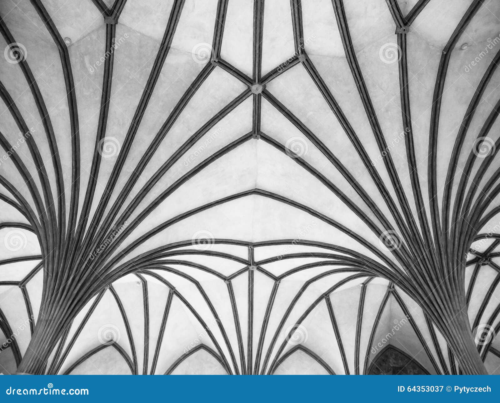 Gothic rib vault ceiling stock image. Image of monochrome 64353037