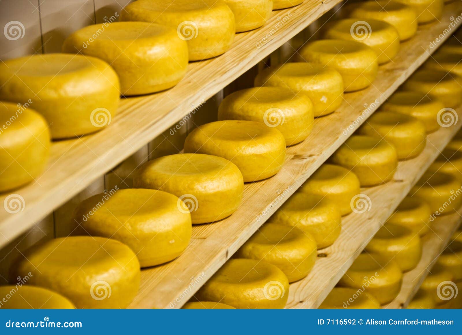 Gouda Dutch Cheese stock photo. Image of collection 7116592
