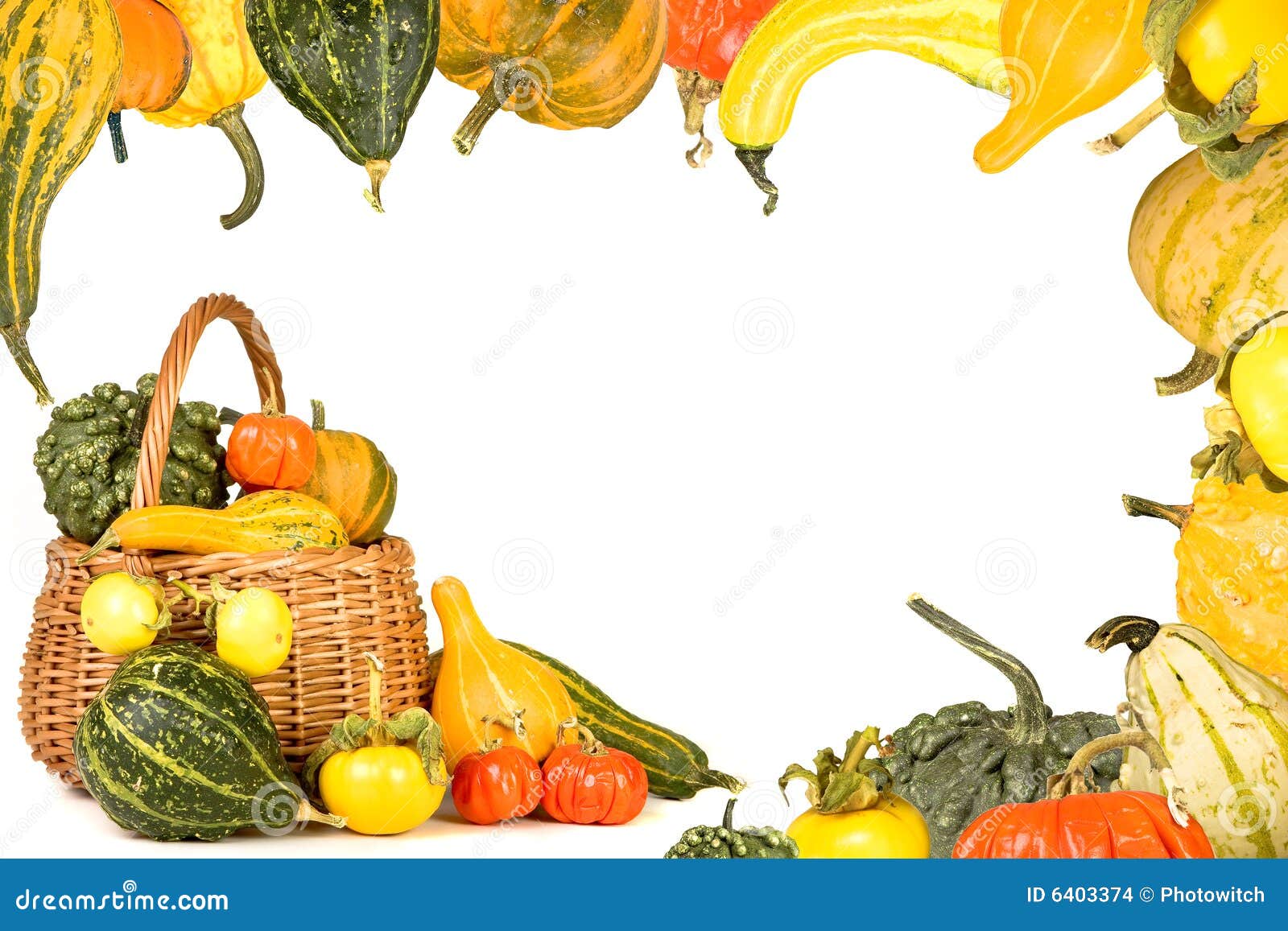 Gourd border stock photo. Image of basket, plenty, pumpkins 6403374