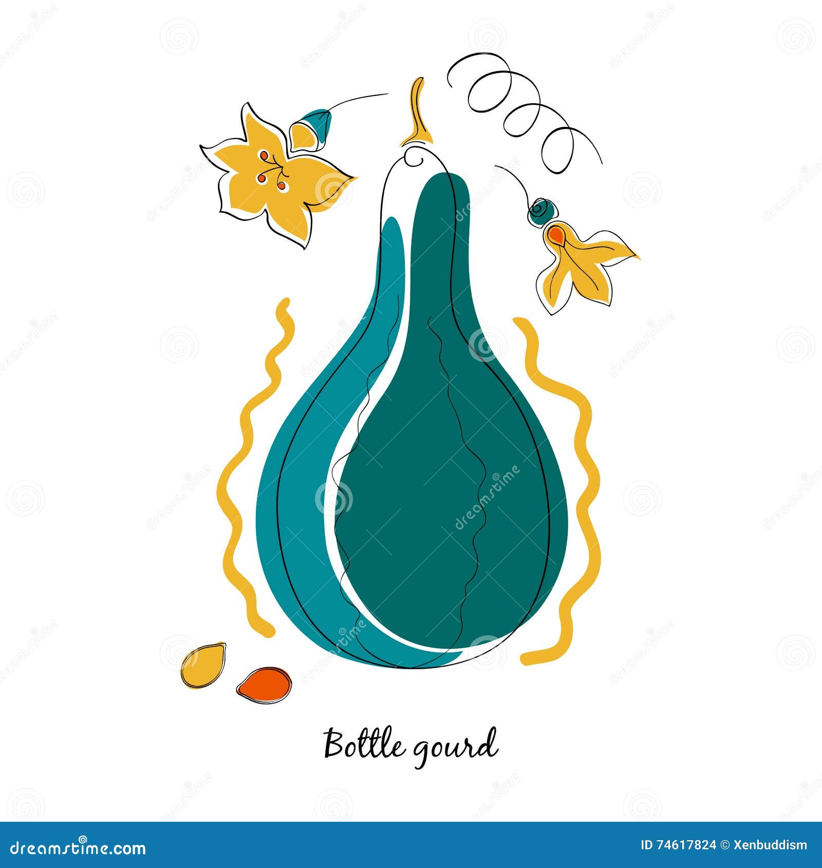 Cucurbita, Gourd Watercolor Illustration. Cucurbita, Gourd Pumpkin