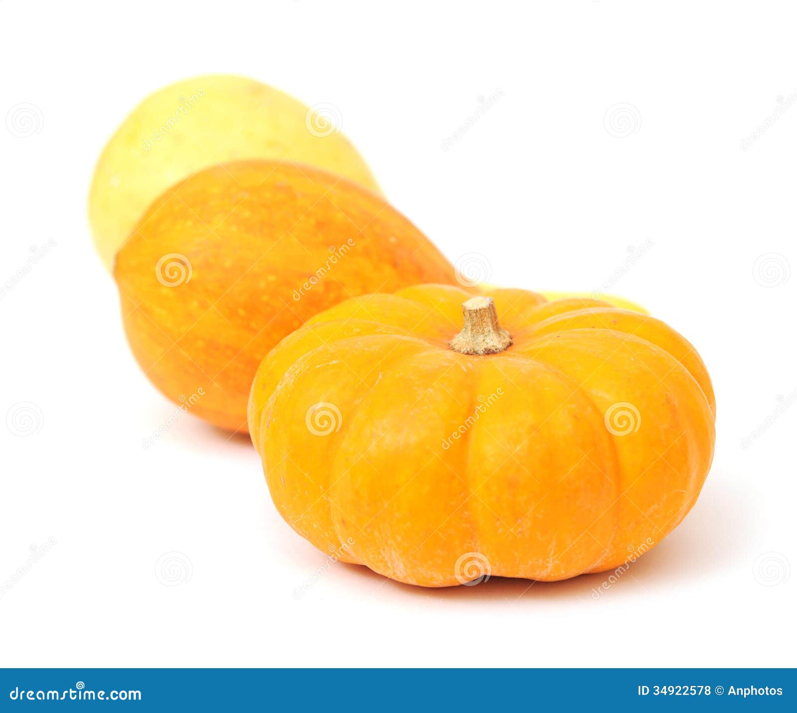 Gourd pumpkin stock photo. Image of orange, decorate 34922578